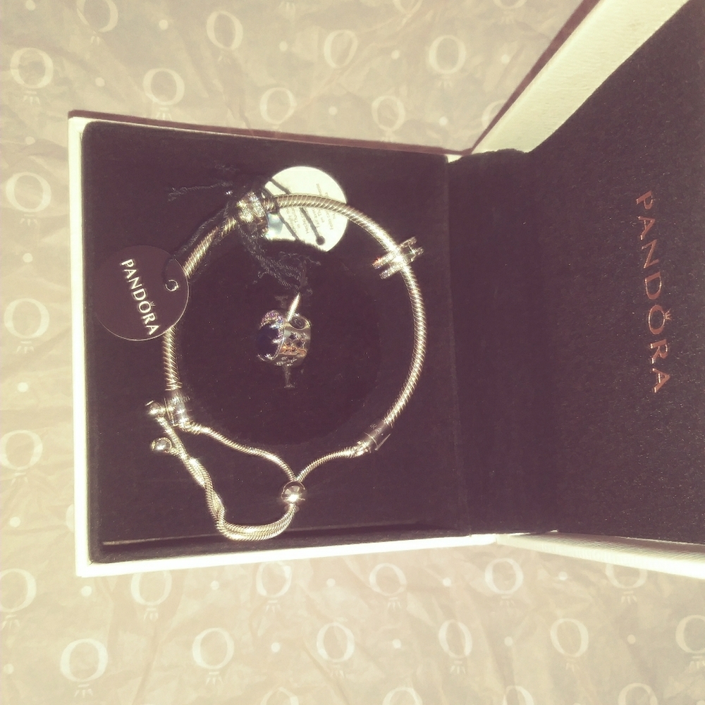 NEW Pandora Bracelet with Charm